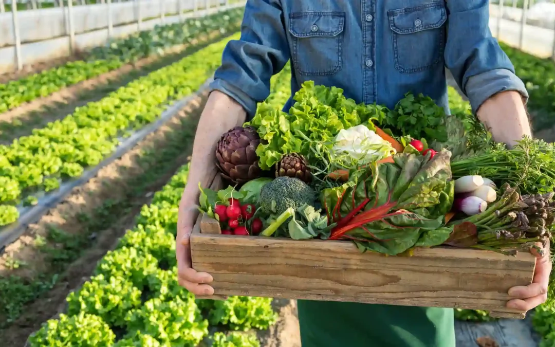 Agricultures & alimentation