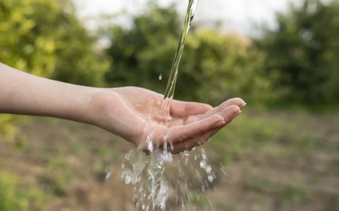 Santé & environnement