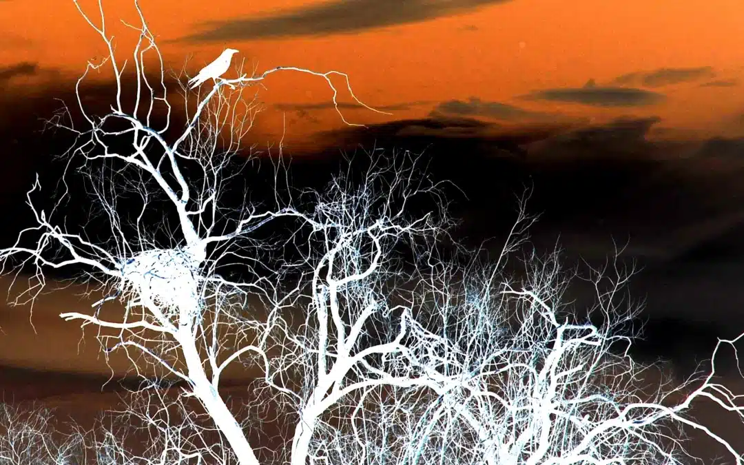 Adapter vos territoires aux impacts climatiques n’est plus une option !