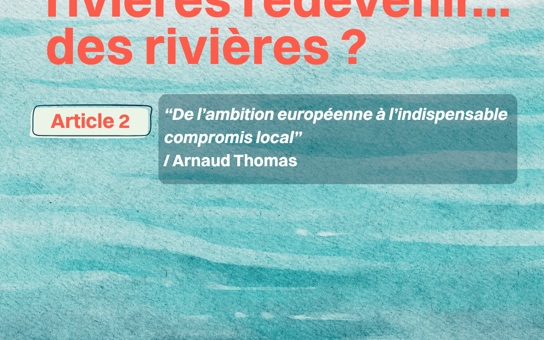 GRAND FORMAT : Désartificialiser les rivières 2/6