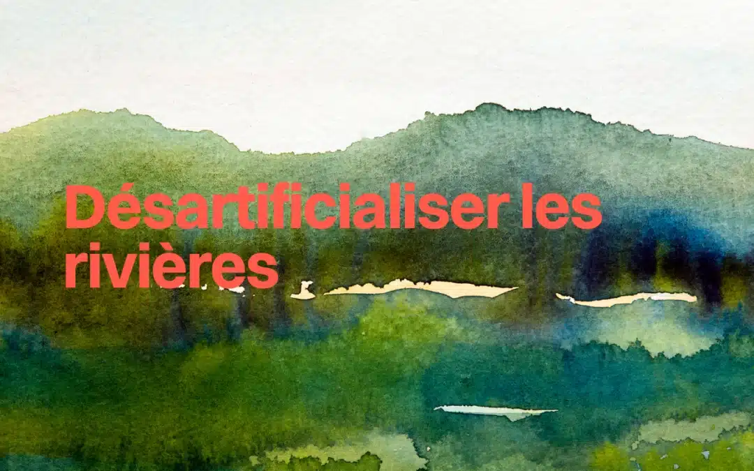 GRAND FORMAT : Désartificialiser les rivières 1/6