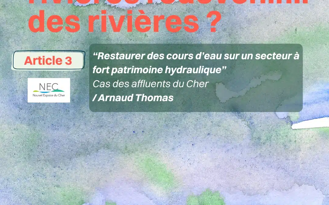 GRAND FORMAT : Désartificialiser les rivières 3/6